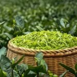 Authentic High Mountain Longjing tea Green Tea_Ring03