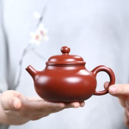 Handmade Zisha Teapot Da Hong Pao Gongfu tea set_Ring01